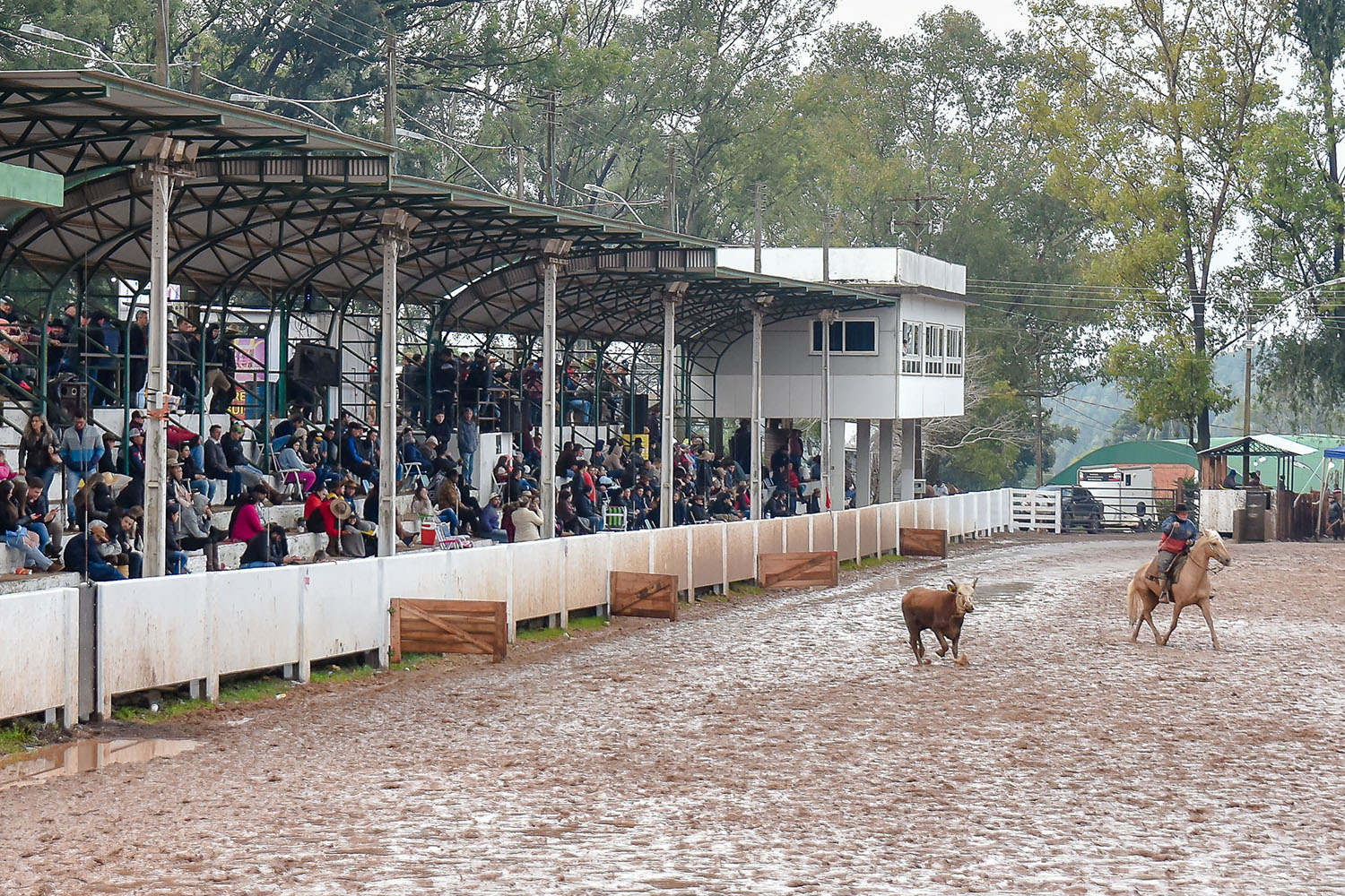 XIV Rodeio Internacional de Soledade supera as expectativas da organização