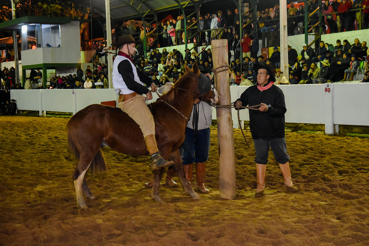 XIV Rodeio Internacional de Soledade supera as expectativas da organização